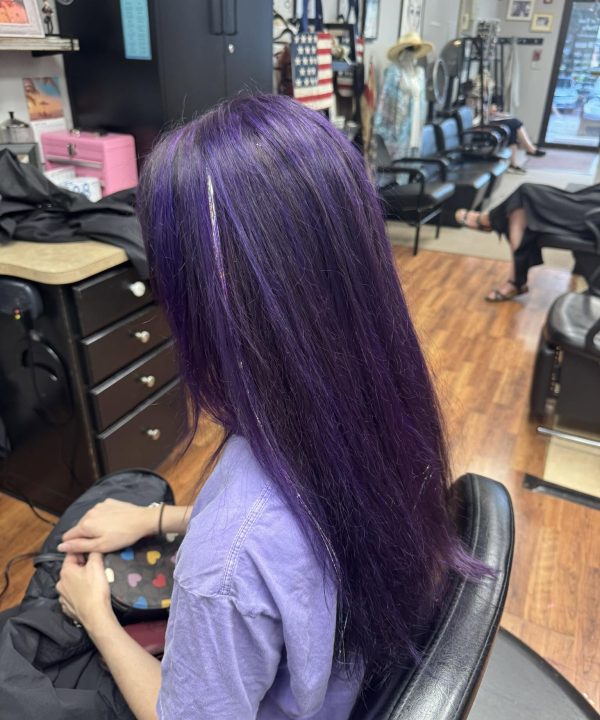 Long vivid purple hair at the salon